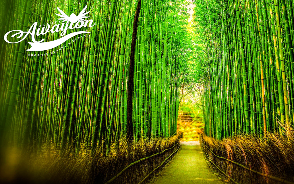 Bamboo Forest by Awayion Beauty