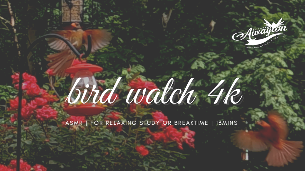 North American Bird Watch ASMR