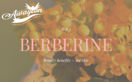 Berberine Beauty Benefits