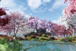 Cherry Blossom